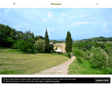 Tablet Screenshot of piccozzo.com